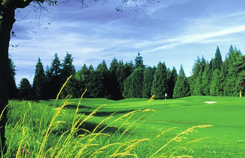 Golf gift card