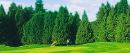 Book a Tee Time